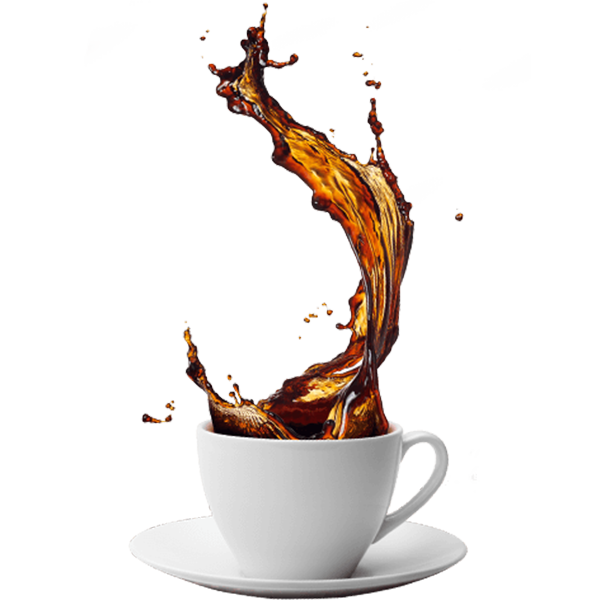 Interior de MITO & CO.